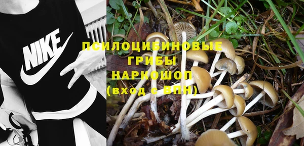 мяу мяу кристалл Лихославль