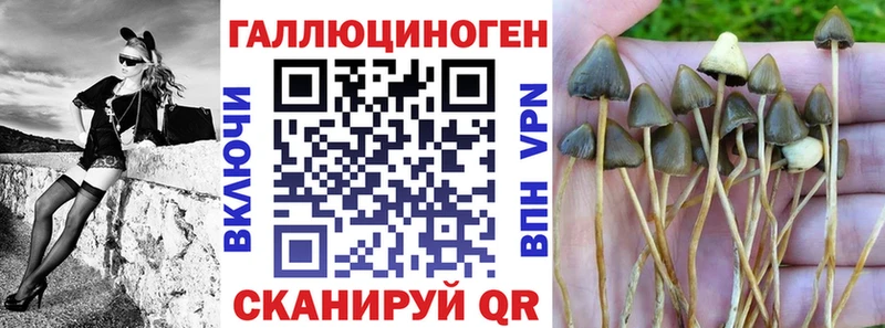 Галлюциногенные грибы ЛСД  Апрелевка 