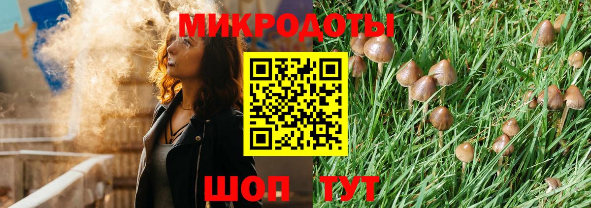 хочу наркоту  Вход с VPN  Псилоцибиновые грибы Psilocybine cubensis  Апрелевка  Галлюциногенные грибы прущие грибы 