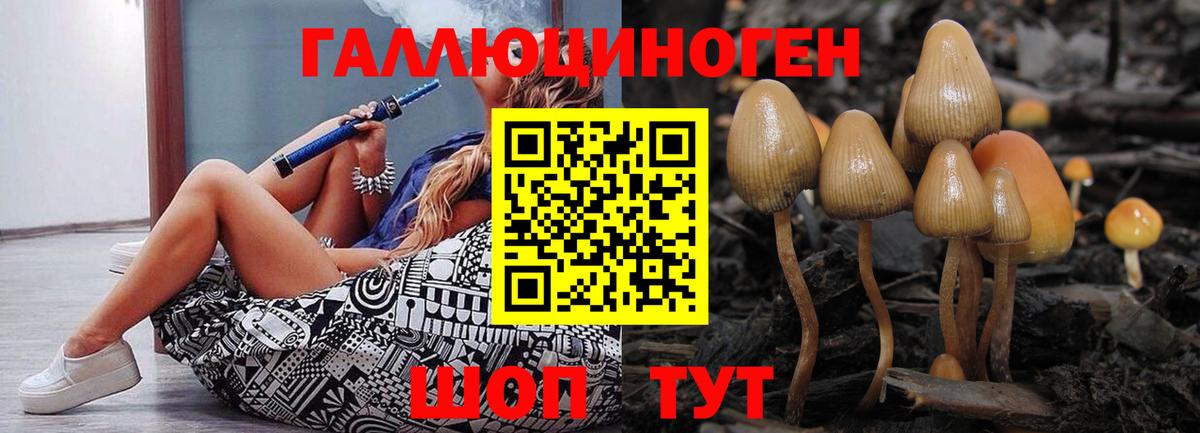 Псилоцибиновые грибы Cubensis  Галлюциногенные грибы GOLDEN TEACHER  Апрелевка 