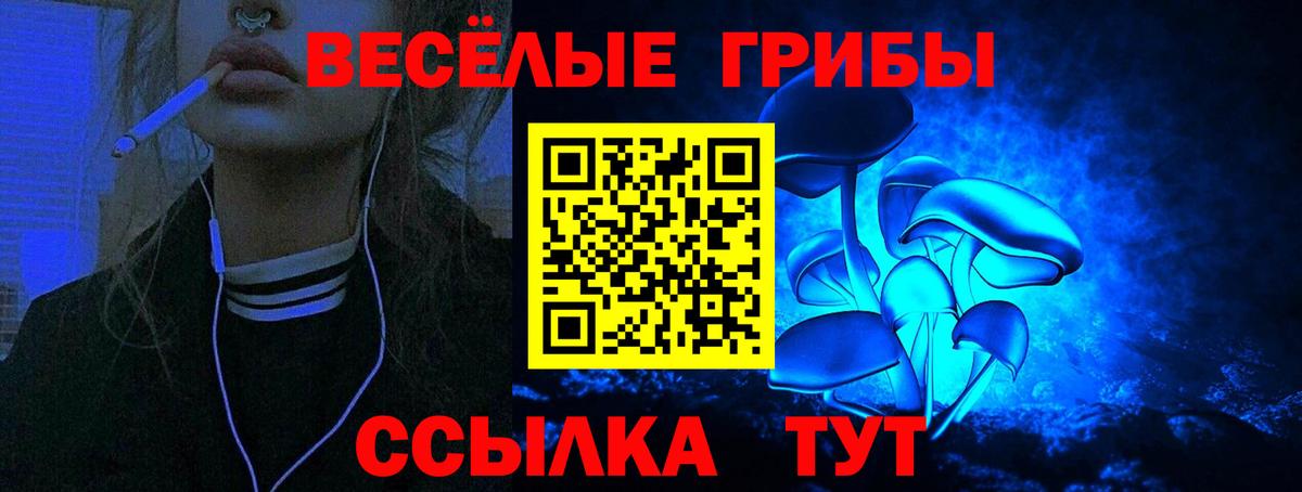 Галлюциногенные грибы Psilocybine cubensis Апрелевка